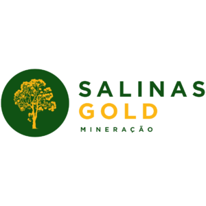 logo - Salinas Gold_Prancheta 1